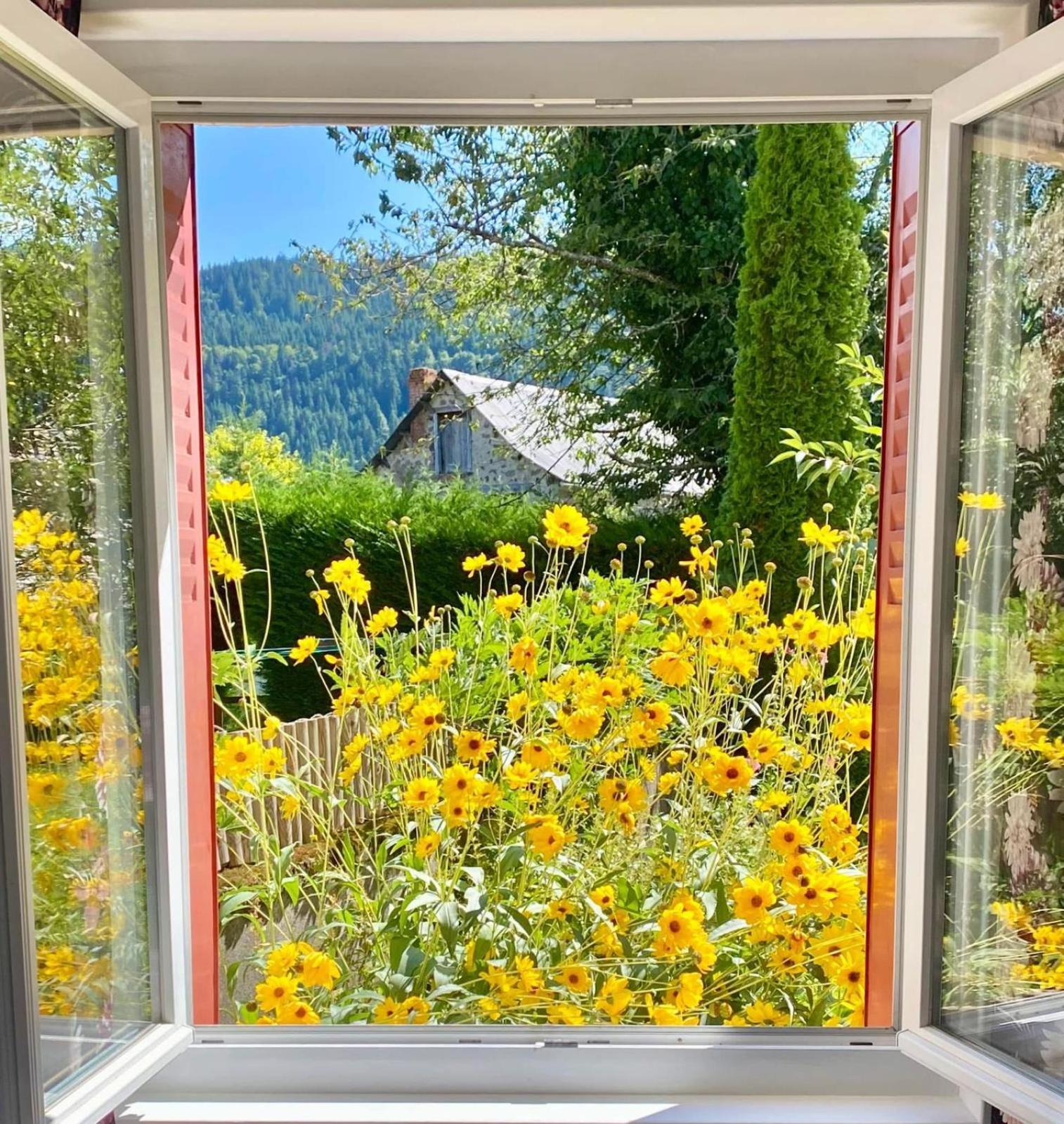 Hotel Restaurant Du Plomb Du Cantal Murat  Eksteriør billede